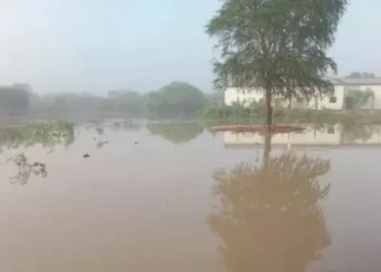 Preocupación en el Chaco salteño: crecida del rojizo agrava la situación y aísla comunidades enteras