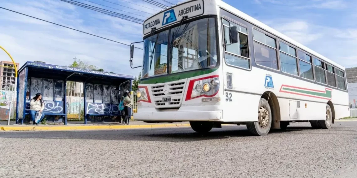 delegación: Modificación de recorrido de Transporte Público por obras en Avenida Rivadavia