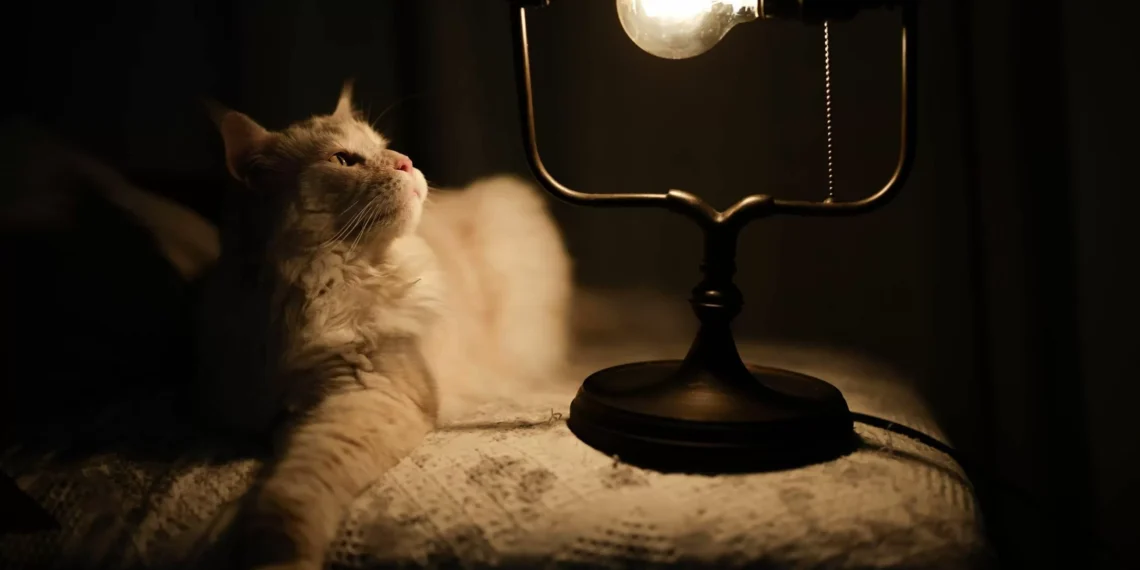 El importe de la luz marcará este sábado su mínimo anual