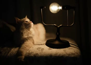 El importe de la luz marcará este sábado su mínimo anual