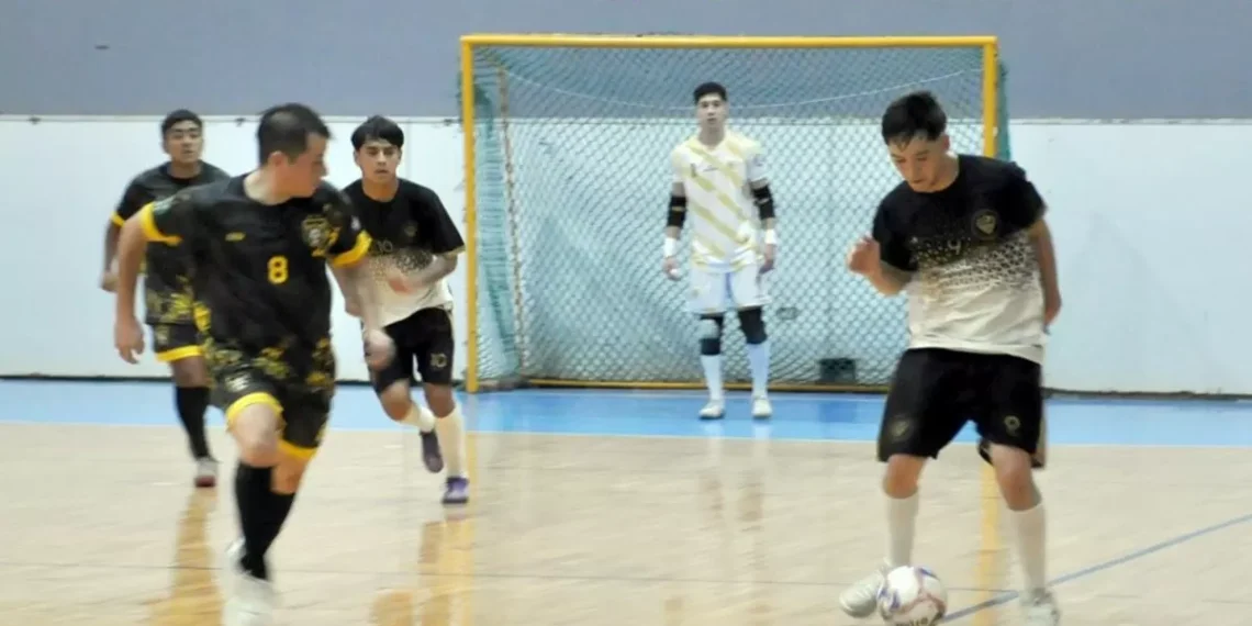 Halcones bien en lo alto