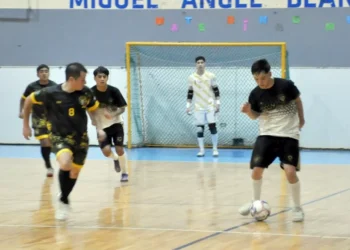 Halcones bien en lo alto