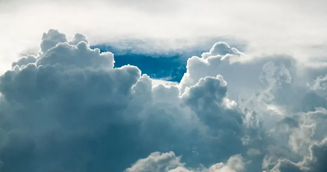 “La importancia de proteger nuestro medio ambiente”