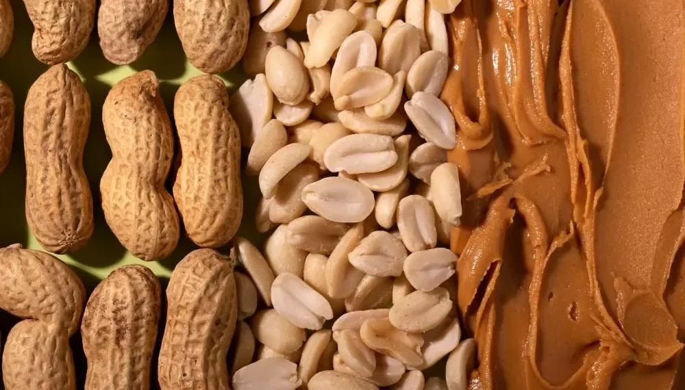 El selenio: un micronutriente clave para la salud y dónde encontrarlo