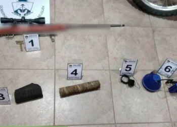 Junín de los Andes: sorprendieron a dos albañiles cazando de noche con un fusil y un venado abatido