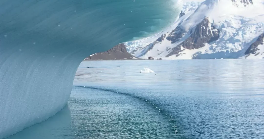 “Desafíos ambientales: impacto en nuestra calidad de vida”