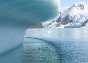 “Desafíos ambientales: impacto en nuestra calidad de vida”