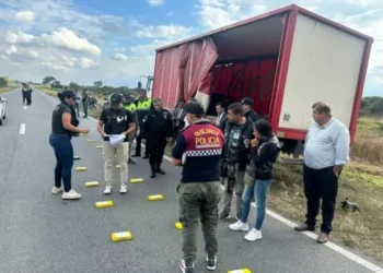 Cayó cargamento de 21 kilos de cocaína en Tucumán: lo detectaron en un ejercicio de rutina