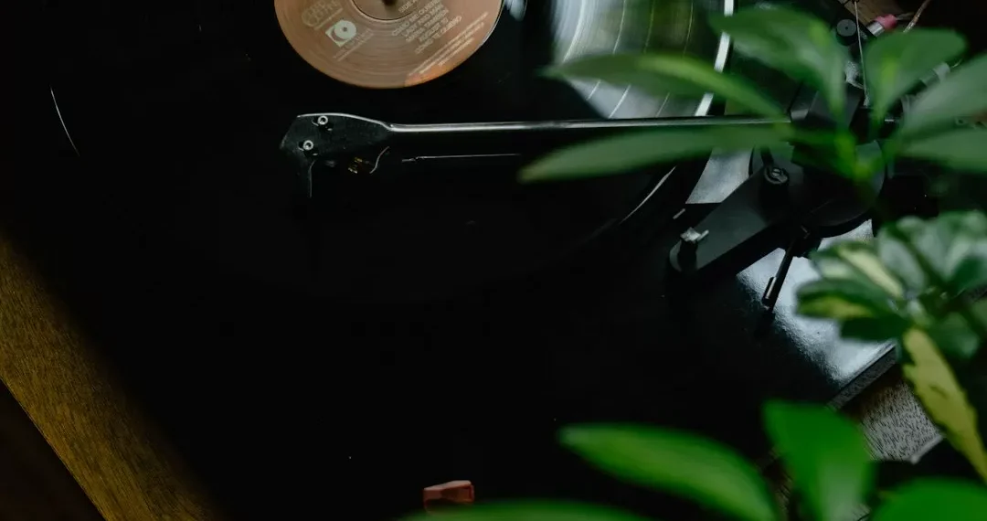 “El poder de la música: expresión, emoción y conexión”