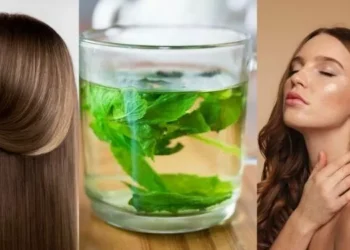 Infusión de ortiga: propiedades depurativas y beneficios para la badana y el cabello