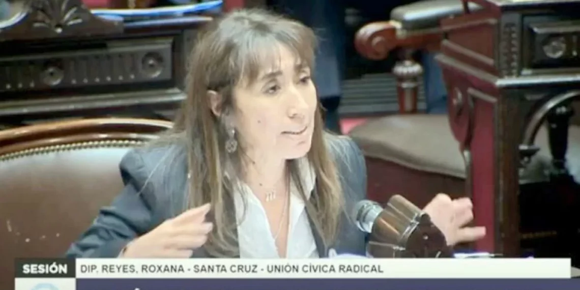 Roxana Reyes reclamó en el Congreso por las represas y obras estratégicas para Santa alzada