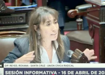 Roxana Reyes reclamó en el Congreso por las represas y obras estratégicas para Santa alzada