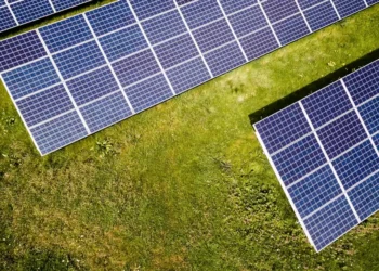 “Responsabilidad compartida: Cuidemos juntos nuestro medio ambiente”