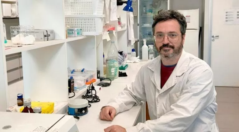 novel rol de una proteína en la eficiencia de la respuesta inmune