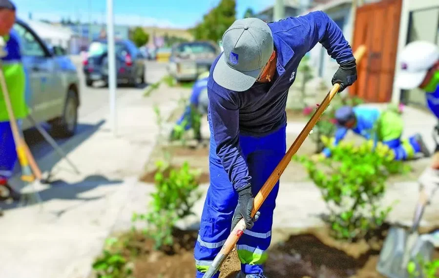 Urbana celebra el día del reciclaje con el sorteo de 3 árboles