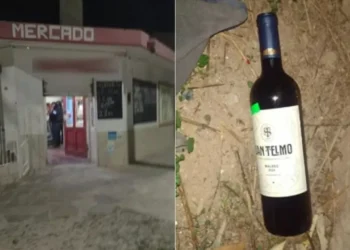 Ladrones en completo estado de ebriedad asaltaron un almacén y golpearon al dueño para robarle una botella de vino