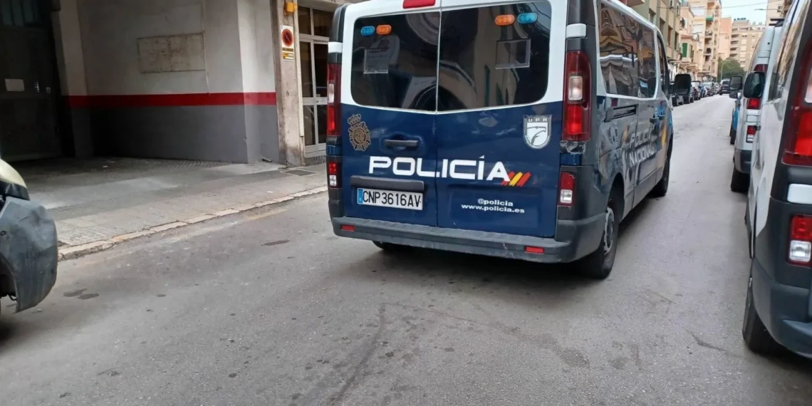 Una pelea entre padres a las puertas de un facultad en Palma termina con un detenido