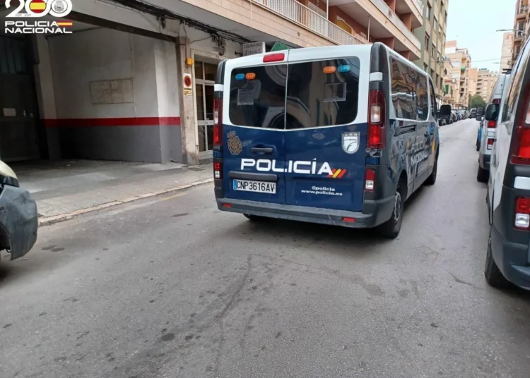 Una pelea entre padres a las puertas de un facultad en Palma termina con un detenido