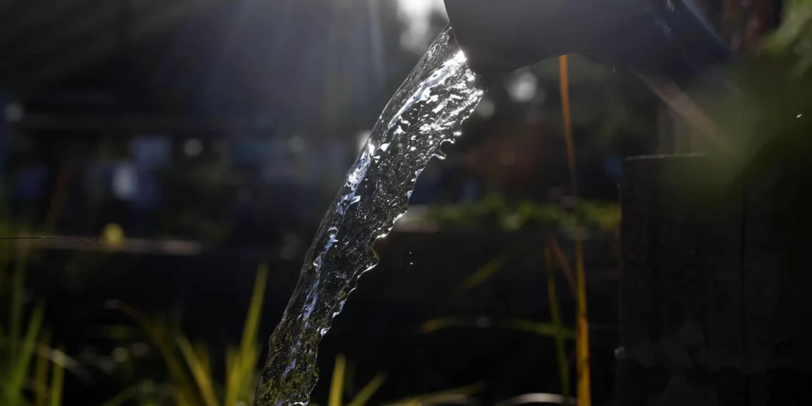 España alcanza este viernes su Día de Sobrecapacidad de la Tierra: aunque se han completo todos los recursos naturales de los que dispone el país en un año