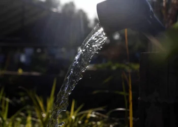 España alcanza este viernes su Día de Sobrecapacidad de la Tierra: aunque se han completo todos los recursos naturales de los que dispone el país en un año