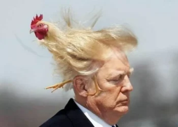 TACO, el acrónimo virulento que enfurece al presidente de EEUU: “Trump siempre se acobarda”