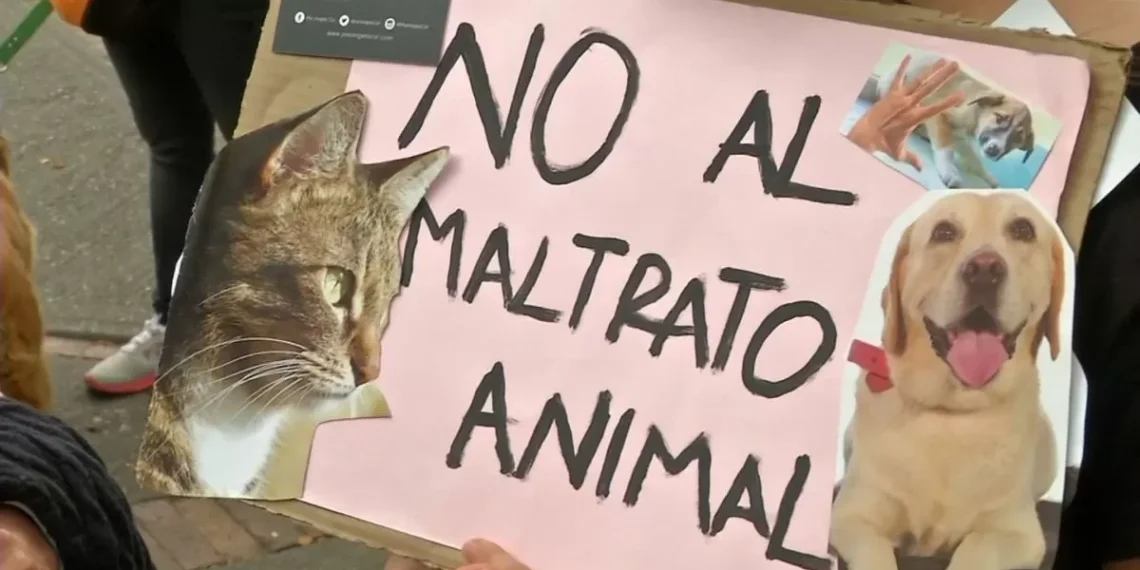 Desde el escuela de Abogados se busca reforzar el asesoramiento ante casos de maltrato animal