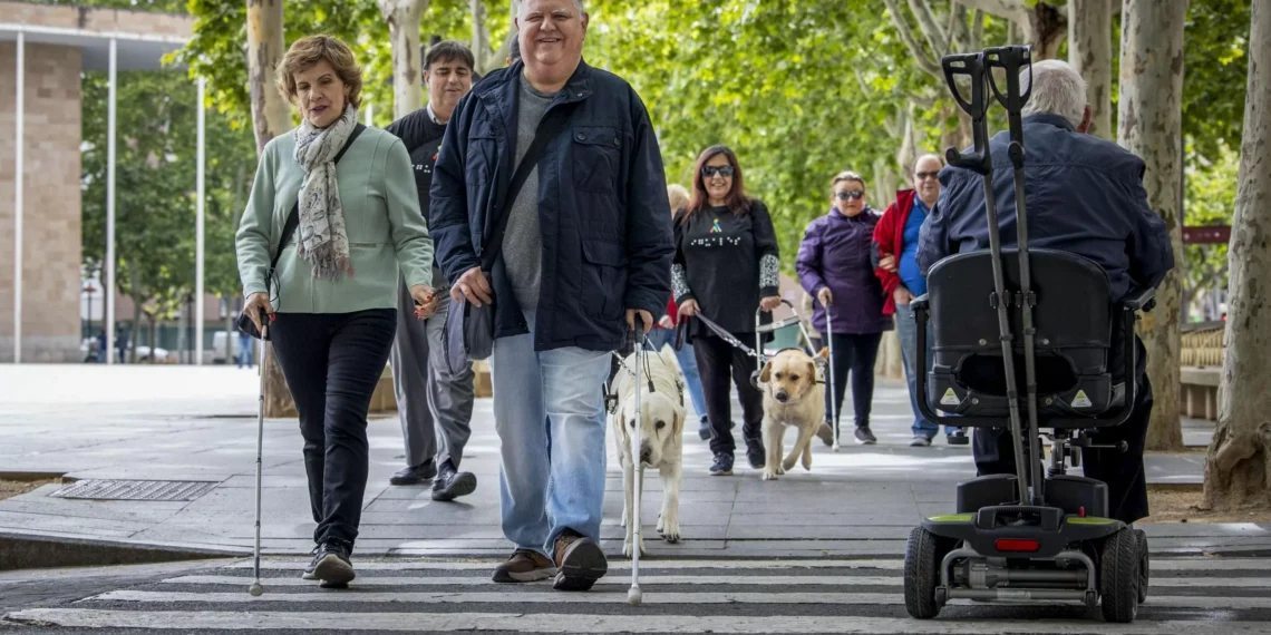 Las personas con perros de público podrán acceder con ellos a espacios de uso público