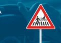 Cambios en las señales de tráfico: principales novedades y camino en vigor