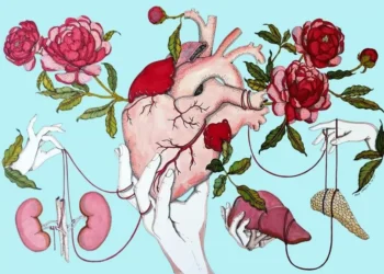 Jordi Labanda, Ricardo Cavolo y Ana Jarén muestran a través de su genio las conexiones invisibles del síndrome cardiovascular-renal-metabólico