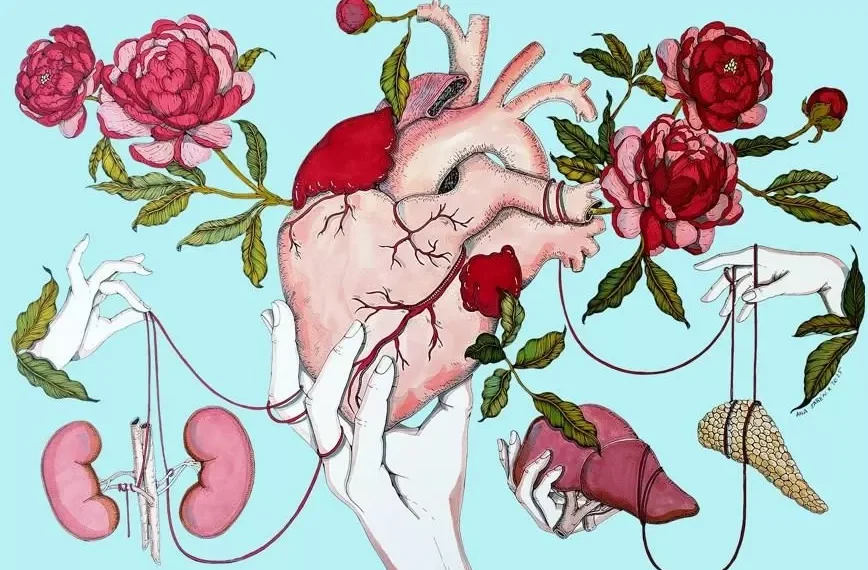 Jordi Labanda, Ricardo Cavolo y Ana Jarén muestran a través de su genio las conexiones invisibles del síndrome cardiovascular-renal-metabólico