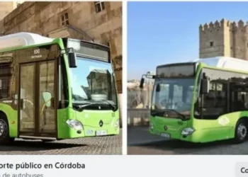 Alerta estafa: Falsos bonos de transporte gratuitos en Facebook