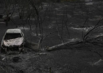 Estabilizado el incendio en Tarragona tras arrasar 3.300 hectáreas