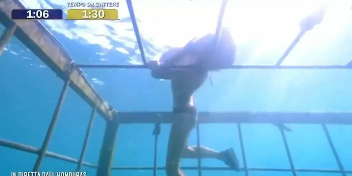Angustia en la final de ‘Supervivientes Italia’: una concursante, a punto de ahogarse al enredarse su pelo en una sello sumergida en el mar
