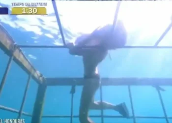 Angustia en la final de ‘Supervivientes Italia’: una concursante, a punto de ahogarse al enredarse su pelo en una sello sumergida en el mar