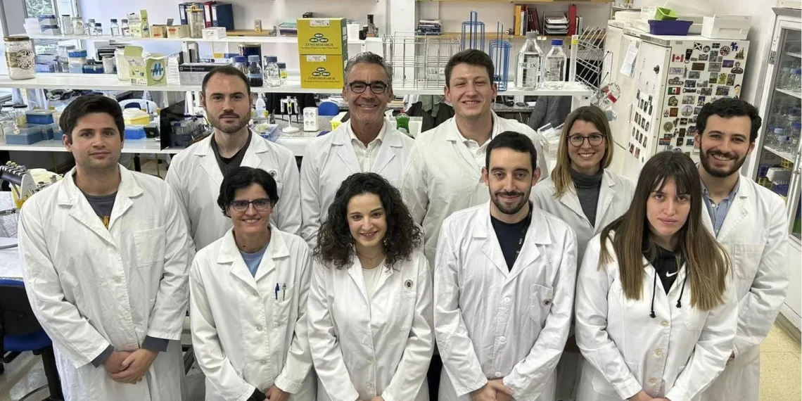 Alertan de la extensión de un gen que dota a las bacterias de tolerancia a antibióticos vitales