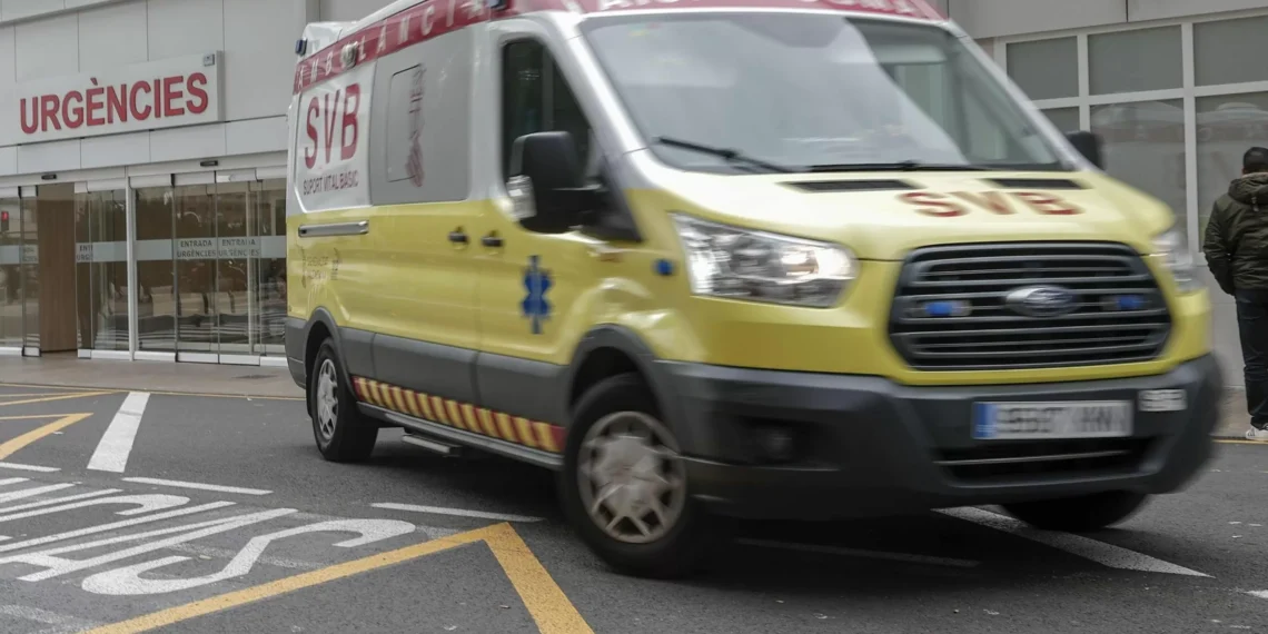 Una dueña, hospitalizada tras caer un rayo en el árbol donde se refugiaba de la lluvia junto a su hija en Valencia