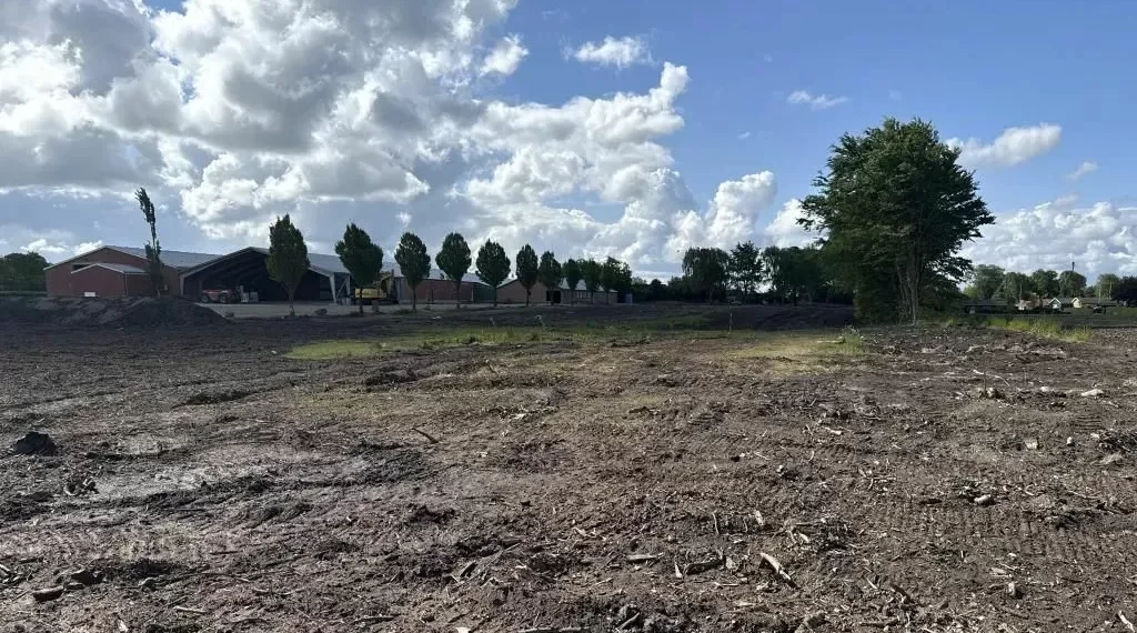 Hallan millones en efectivo enterrados en una granja danesa: “Desde después no parecía un ahorro para la pensión”