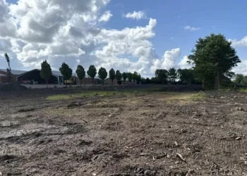 Hallan millones en efectivo enterrados en una granja danesa: “Desde después no parecía un ahorro para la pensión”