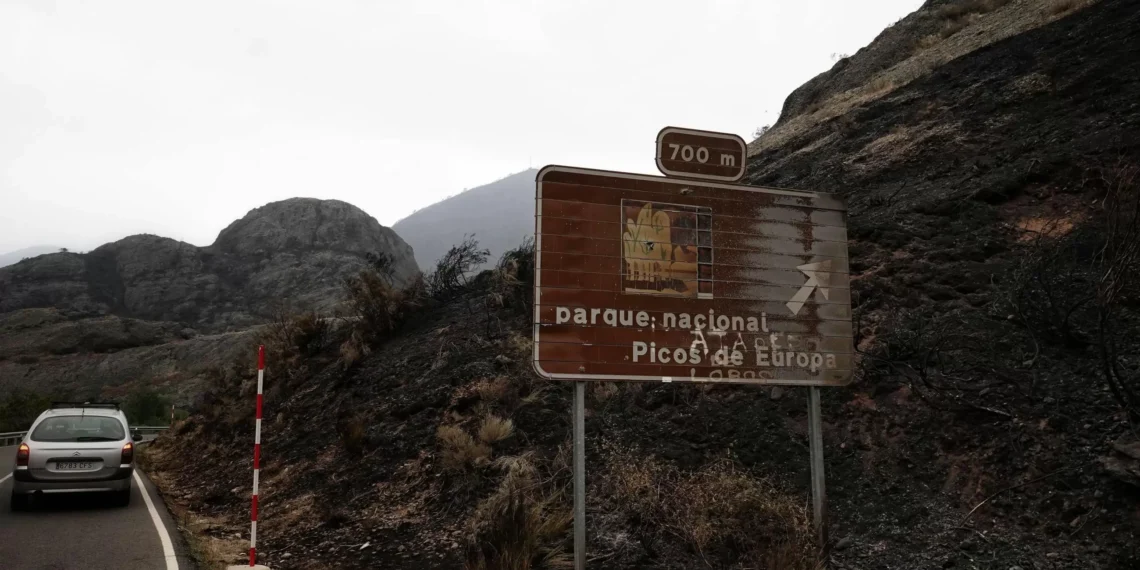 El Gobierno declarará el martes borde catastrófica las áreas arrasadas por los fuegos