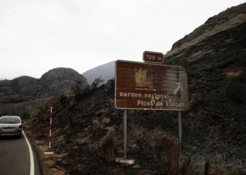 El Gobierno declarará el martes borde catastrófica las áreas arrasadas por los fuegos