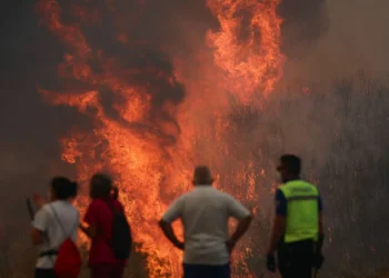 Incendios de sexta generación: el salva que altera el clima y desafía todo control