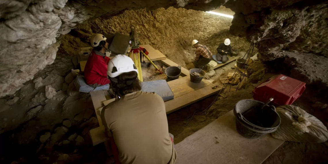 Describen un nuevo contingencia de canibalismo neolítico en Atapuerca sin indicios de rituales