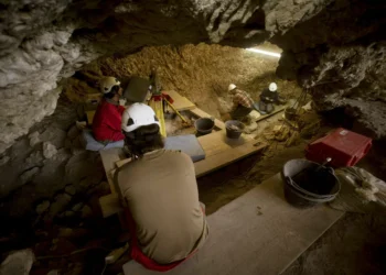 Describen un nuevo contingencia de canibalismo neolítico en Atapuerca sin indicios de rituales