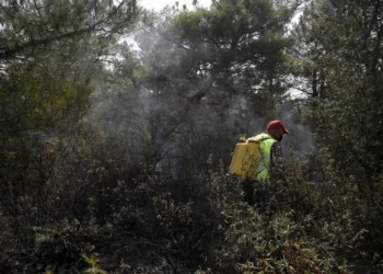 Muere un voluntario que trabajaba en el eficaz del incendio de Molezuales entre Zamora y León