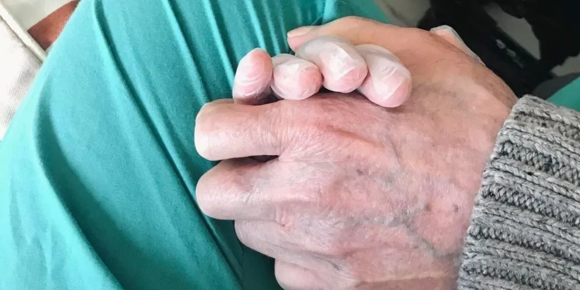 Un estudio revela que el déficit de litio en el juicio puede ser la crítico en la aparición y el tratamiento del alzhéimer