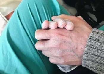 Un estudio revela que el déficit de litio en el juicio puede ser la crítico en la aparición y el tratamiento del alzhéimer