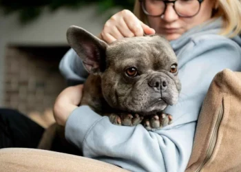 Babosil: el tóxico que prolifera en España y resulta perjudicial para los perros