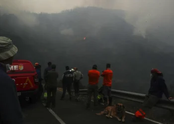 Los incendios han arrasado más de 200.000 hectáreas en los últimos cuatro días