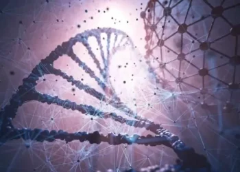 Primera transferencia de comportamiento entre especies manipulando un solo gen