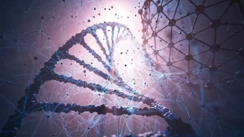 Primera transferencia de comportamiento entre especies manipulando un solo gen